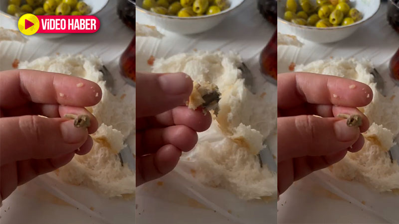 Şanlıurfa'da ekmekten çıkan pes dedirtti! Daha neler göreceğiz