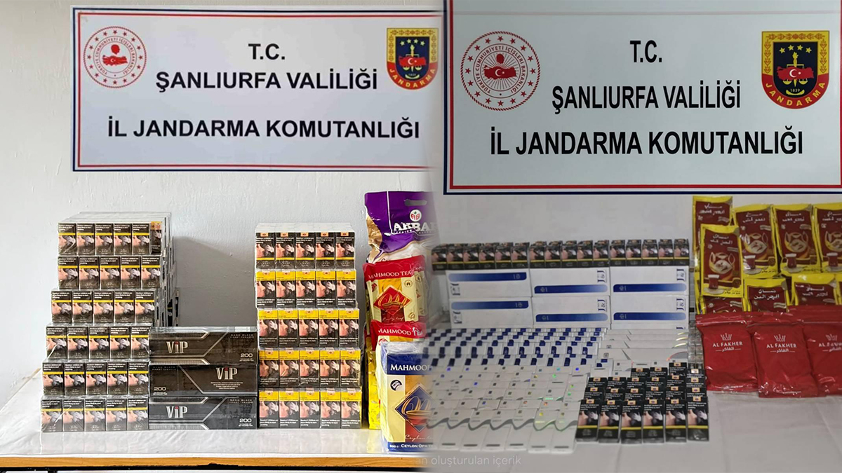 Şanlıurfa’nın 2 ilçesinde jandarmadan operasyon!