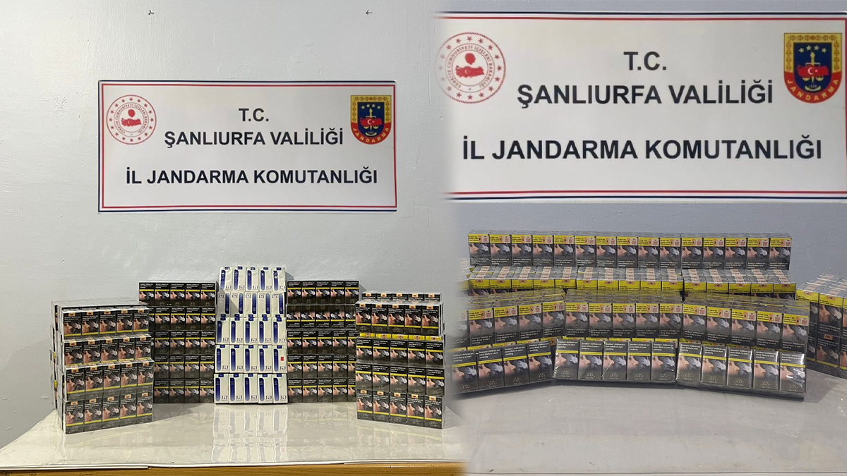 Viranşehir’de binlerce paket kaçak sigara ele geçirildi!
