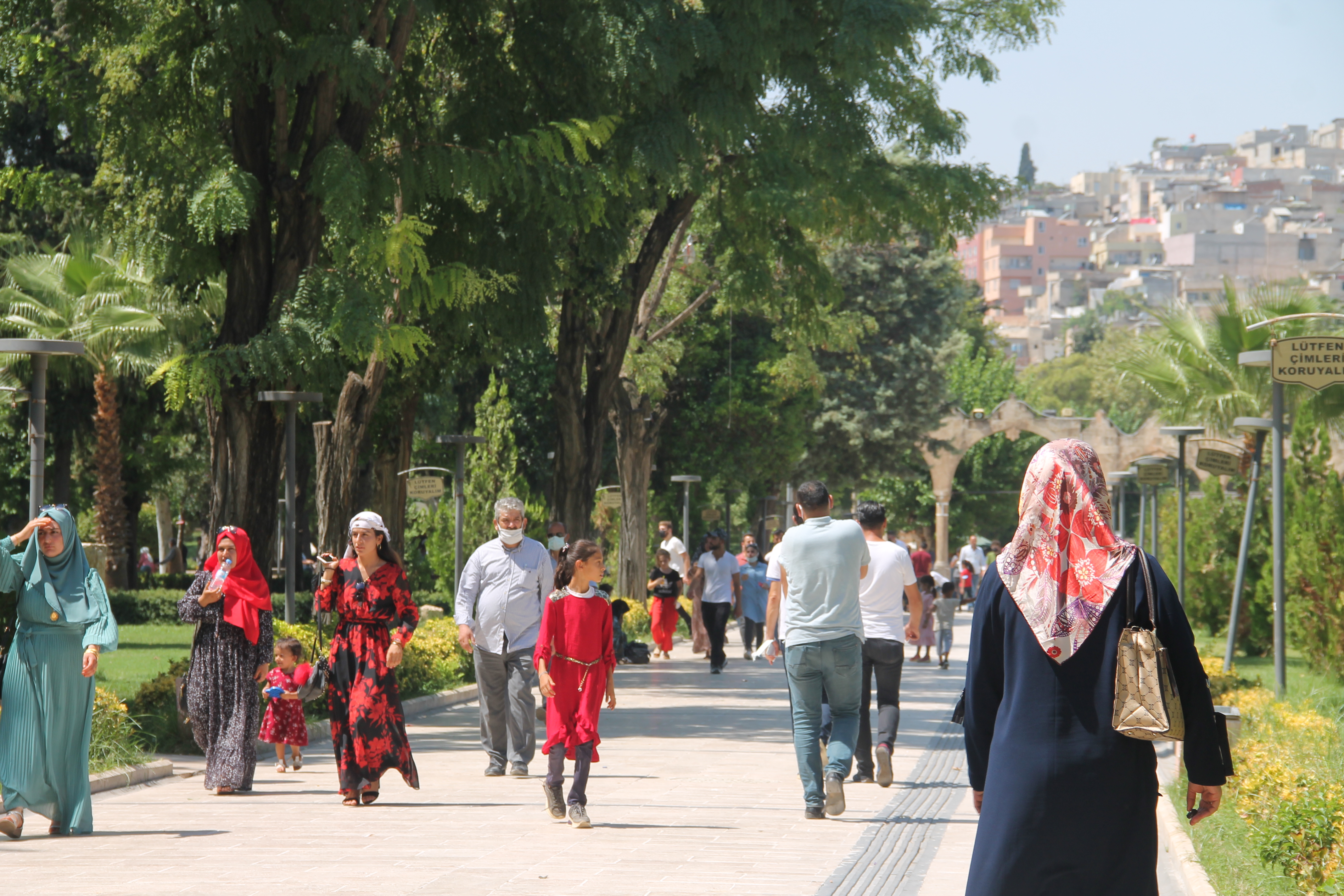 Şanlıurfa’yı resmen istila ettiler! Vatandaşlar yolda yürümeye korkuyor…