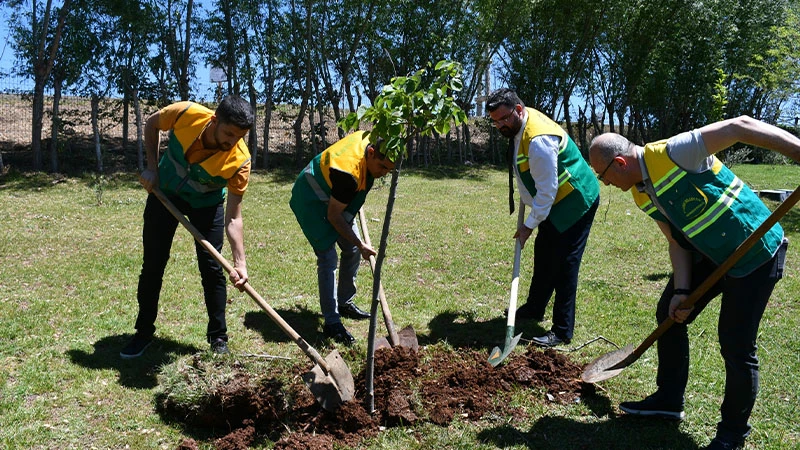 Siverek'te ortak projeyle yeşil geleceğe adım