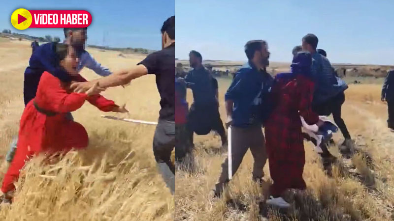 Şanlıurfa'da yine arazi kavgası! 5 kişinin yaralandığı aile kavgası kamerada