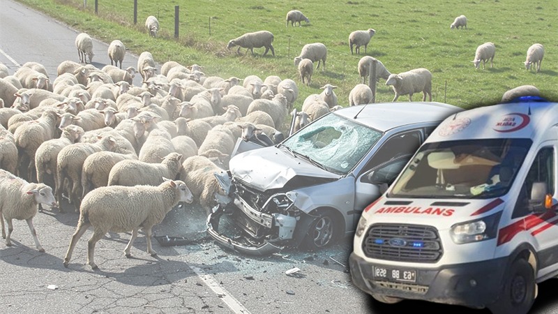 Şanlıurfa'da feci kaza! 4 can gitti, 3 kişi yaralandı