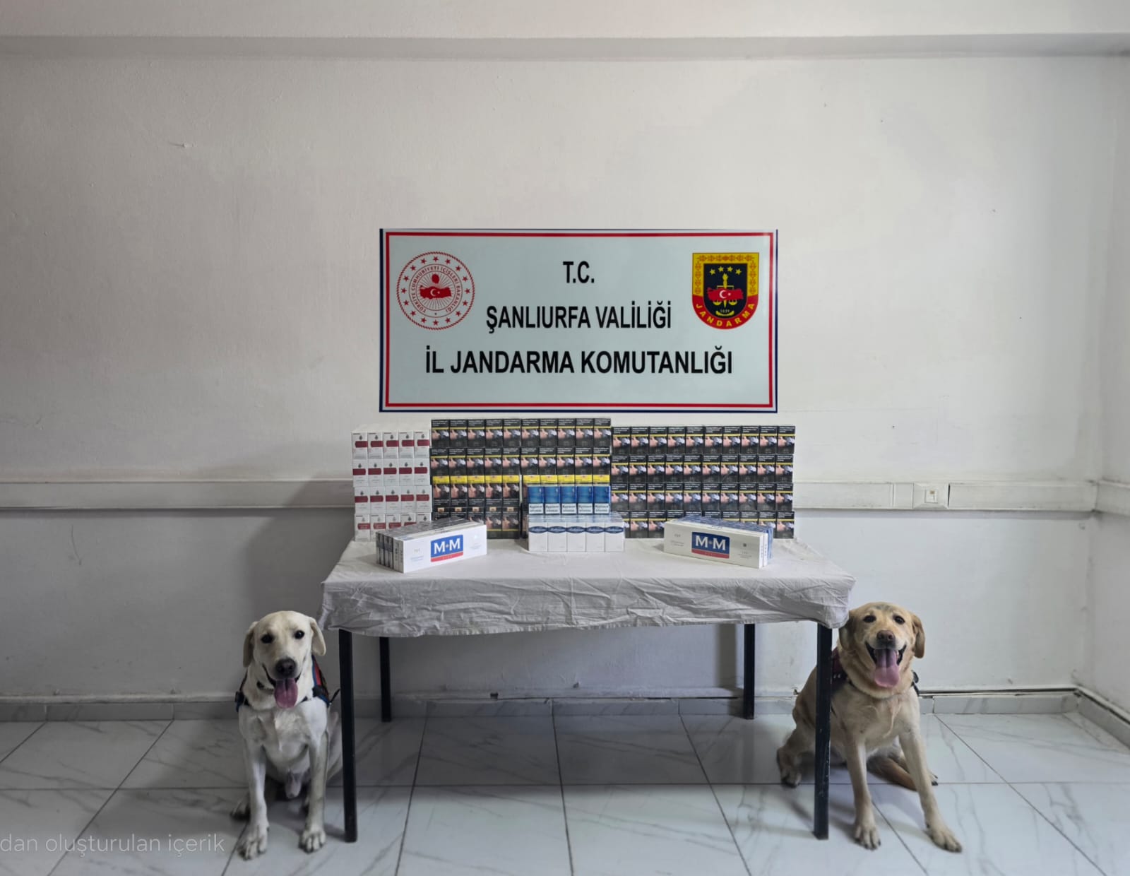 Şanlıurfa’da şok aramada 3 bin paket ele geçirildi