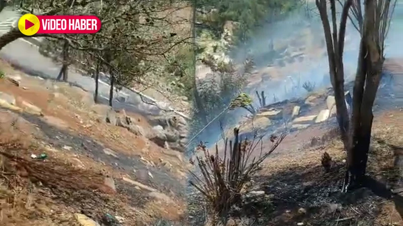 Şanlıurfa’da ormanlık alanda korkutan yangın! (13.06.2025)