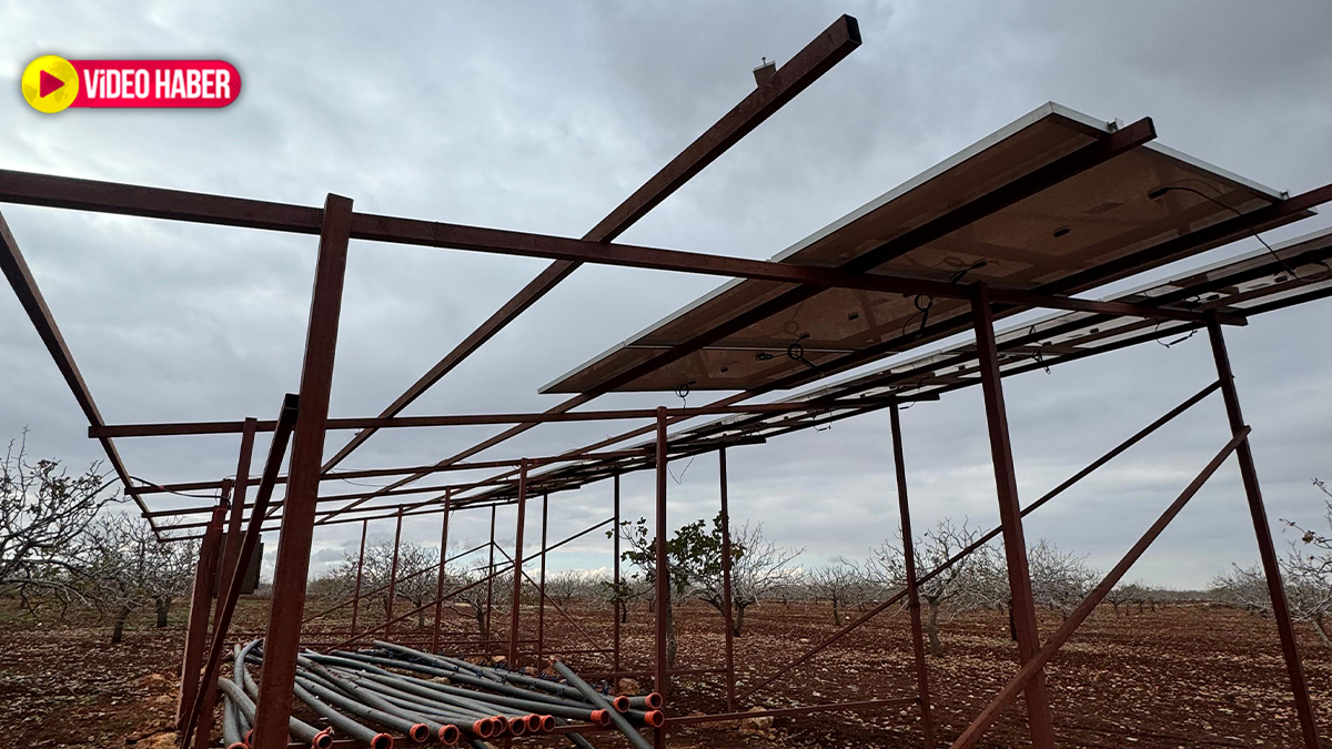Şanlıurfa’da sis perdesi altında hırsızlık! Çiftçi neye uğradığını şaşırdı