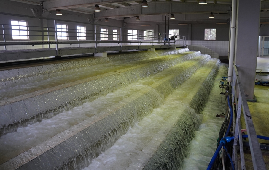 Sel suları içme suyuna karıştı mı? ŞUSKİ'den açıklama geldi...