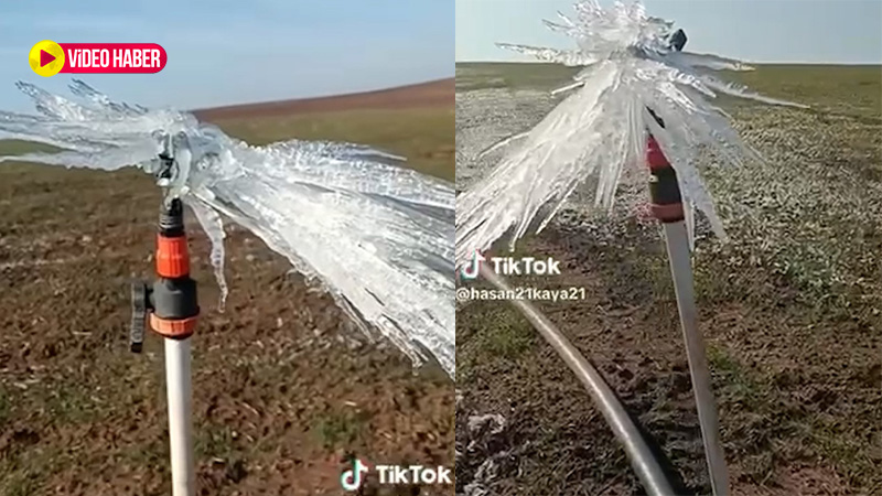 Şanlıurfa'da tarlasına giden çiftçiye şok: Donmuş halde buldu...