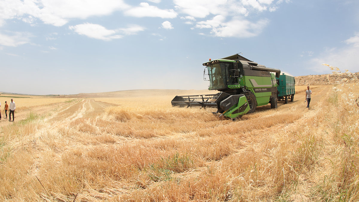 Arpa ve mısırda yeni dönem! Tarife kontenjanında büyük artış