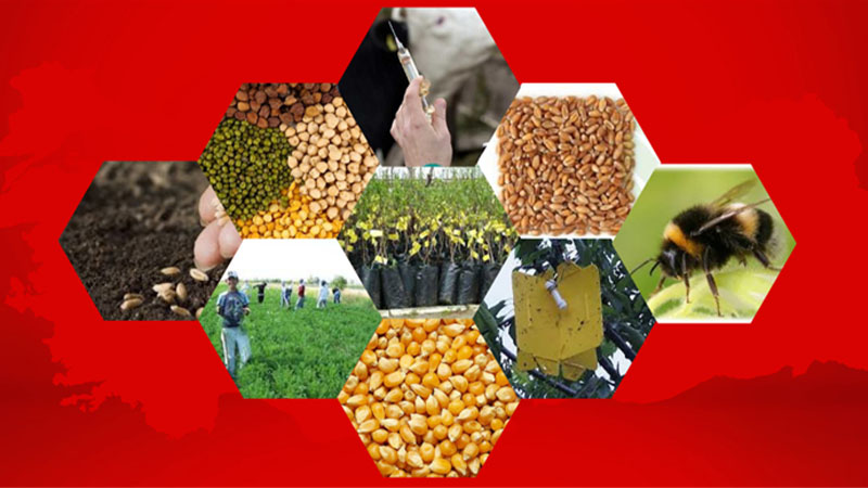 Tarımsal destek ödemleri hesaplara yattı