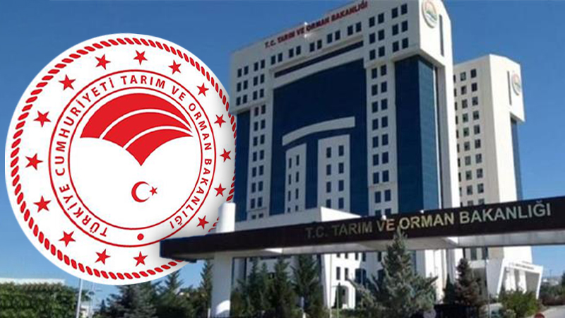 Bakanlıkta “koltuk savaşı”: Şanlıurfalı bürokratlara sistematik dışlama