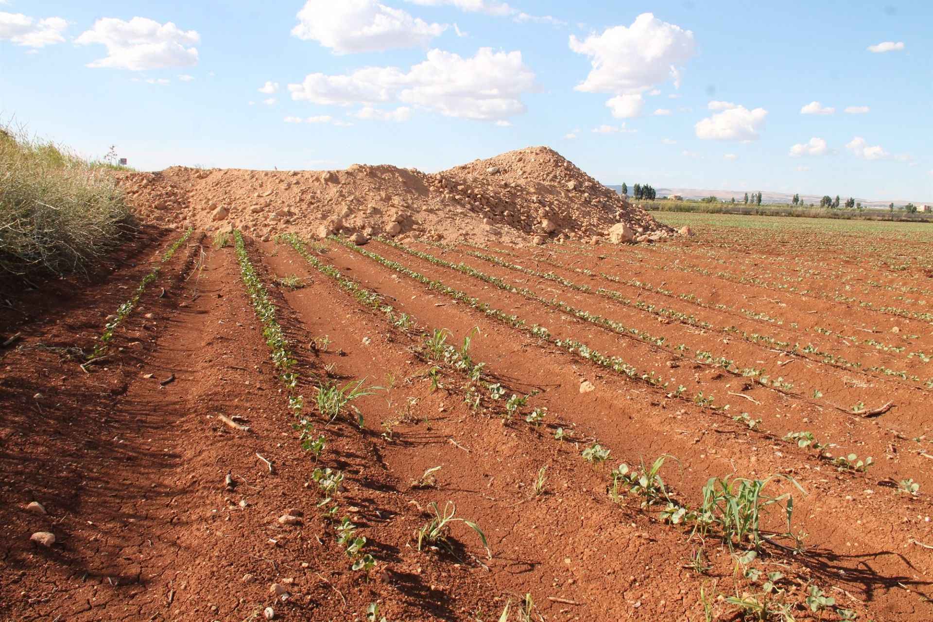 Şanlıurfa'da tespitler tamamlandı: Tarımda yeni dönem başlıyor