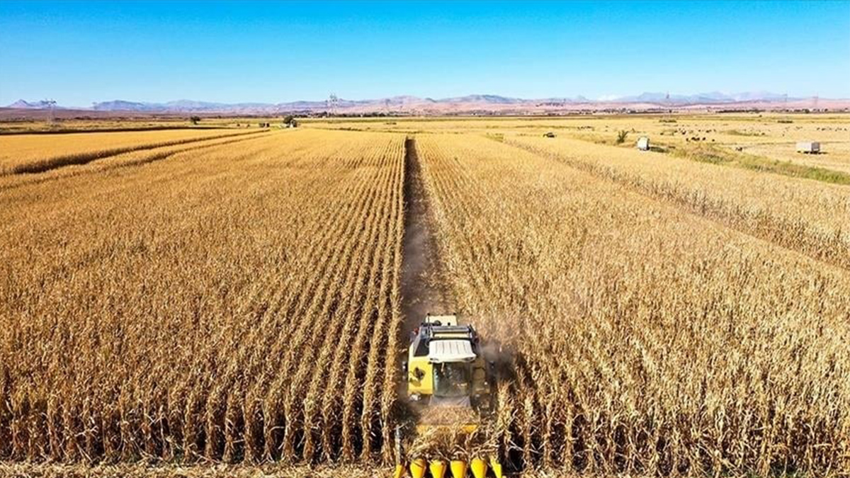 Tarımın kalbi Şanlıurfa’da yeni dönem: B-Reçete geliyor!