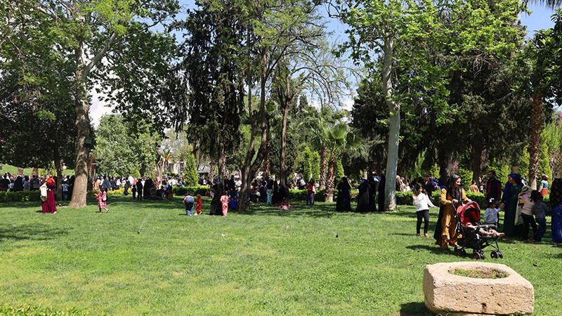 Urfalılar kaçacak yer aradı! Termometreler 51 dereceyi gösterdi