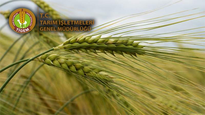 En büyük işletmesi Şanlıurfa’da! Yöneticilerini ihya etmiş