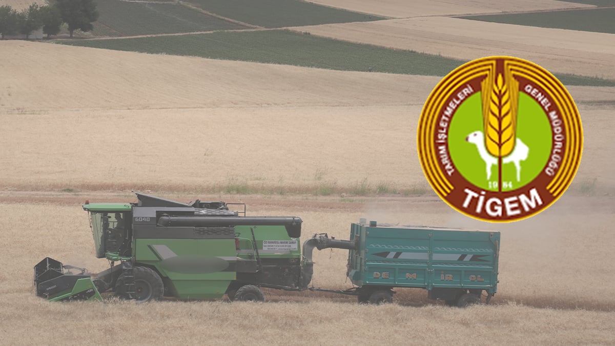 TİGEM çok sayıda personel alacak! Başvuru tarihi, şartları ve kadro dağılımı açıklandı