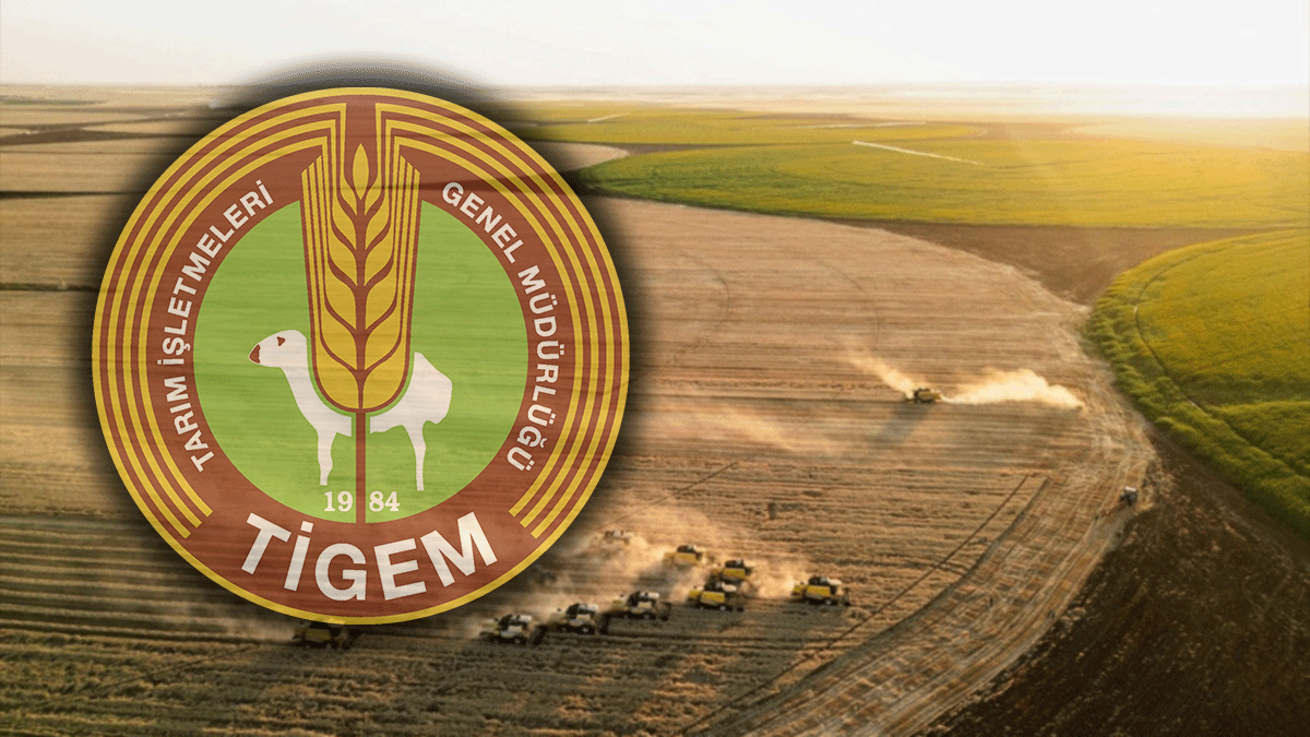 TİGEM Şanlıurfa’da personel alımı yapacak!