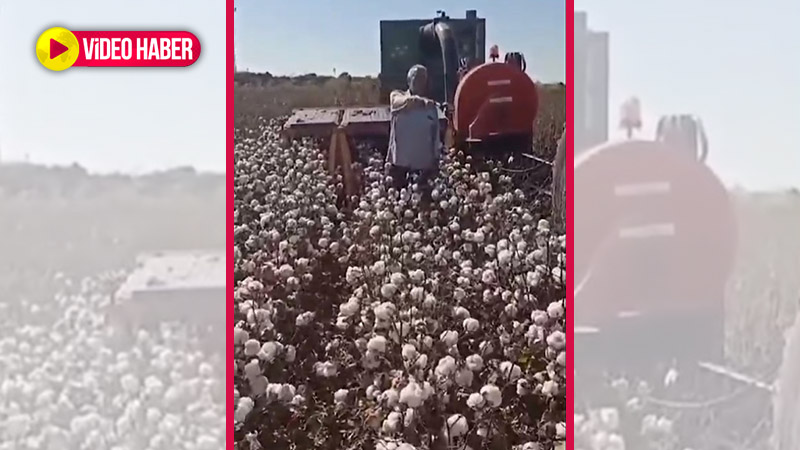 Türkiye'de Selçuk Bayraktar'ın insansız uçağı   Urfa'da da amelesiz makine