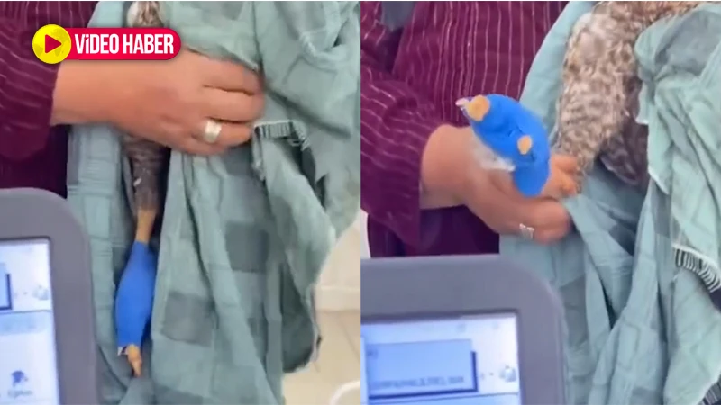 Urfa'da görülmemiş olay!  Doktora götürdü, pansuman ettirdi, gönülleri kazandı