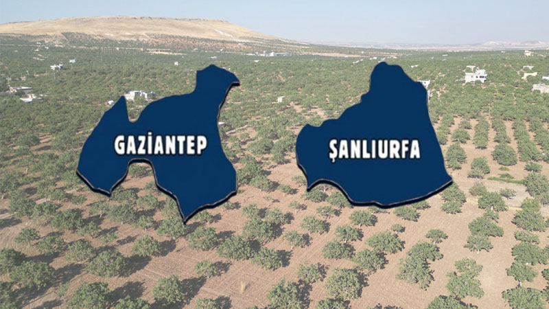 Üreten Şanlıurfa kaymağını yiyen Gaziantep