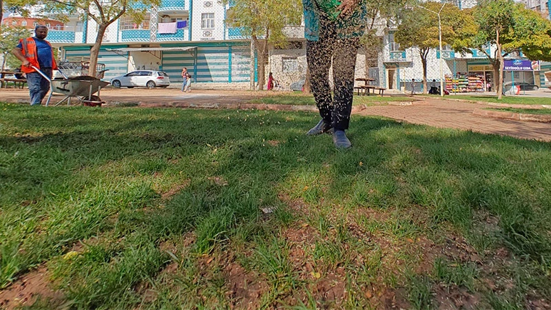 Urfa yeşile bürünüyor