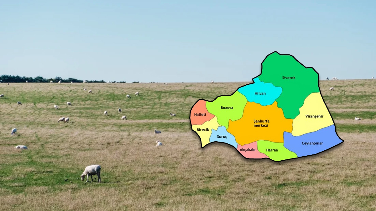 Urfa’da 3 köyü ayağa kaldıran proje iptal!