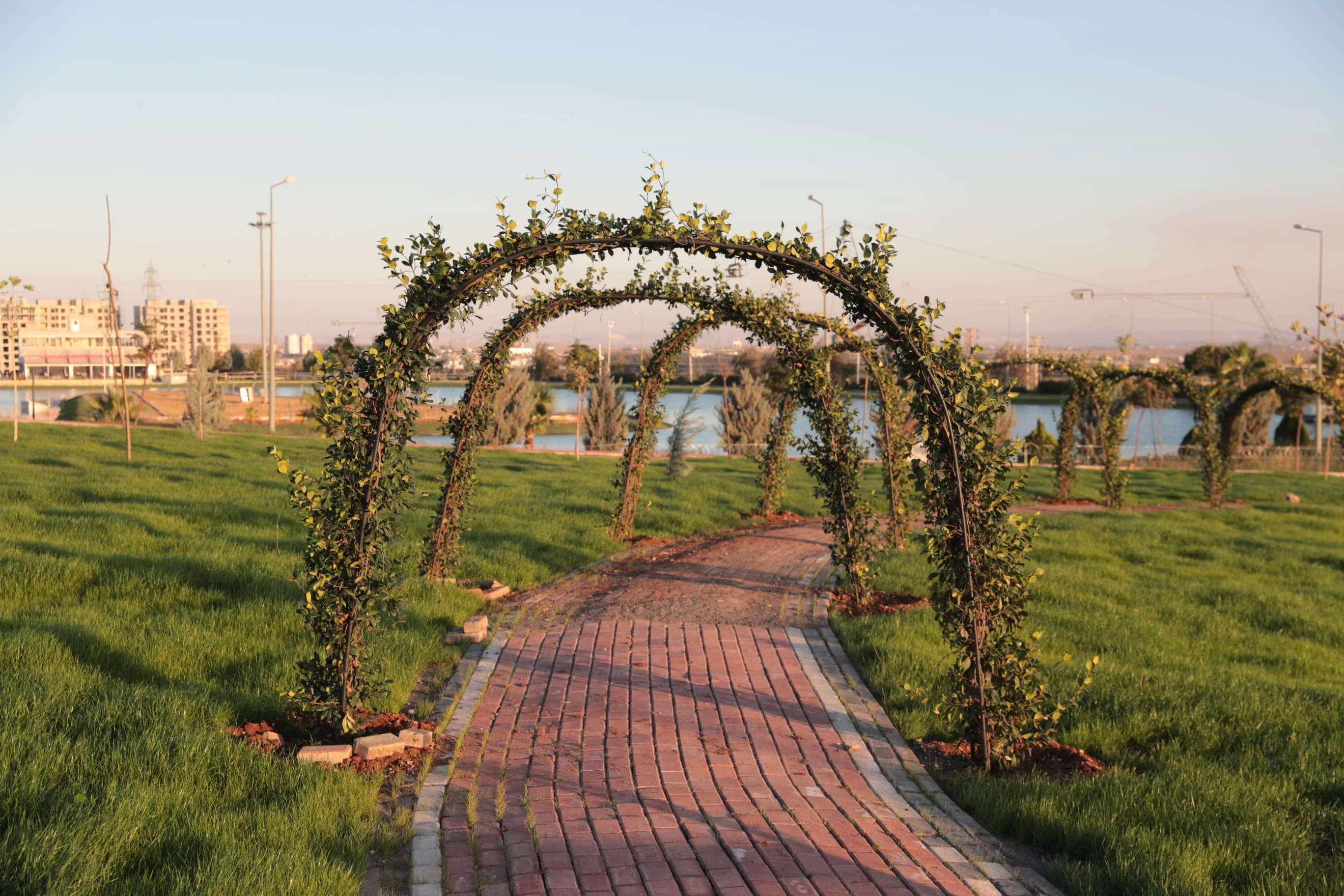 Urfa'da ilk kez yapıldı!