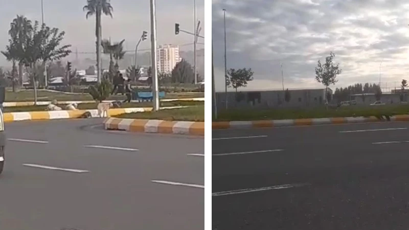 Urfa’daki veliler bu tehlikeye dikkat: Öğrenciler için büyük tehlike!