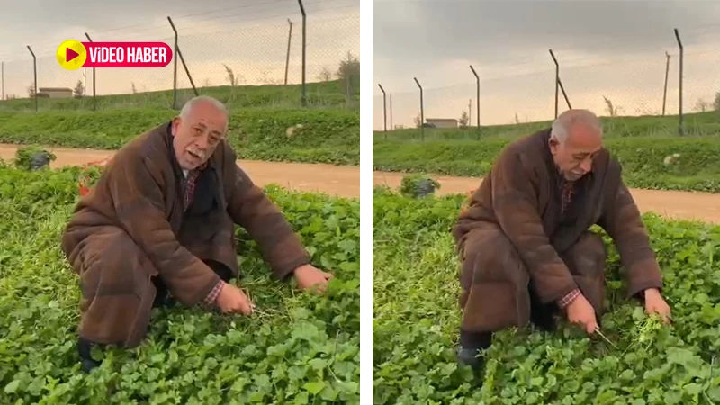 Urfalı emekli vatandaşın videosu hem güldürdü hem düşündürdü!  “Ot topla ot ye, emeklinin işi ne olacak?"