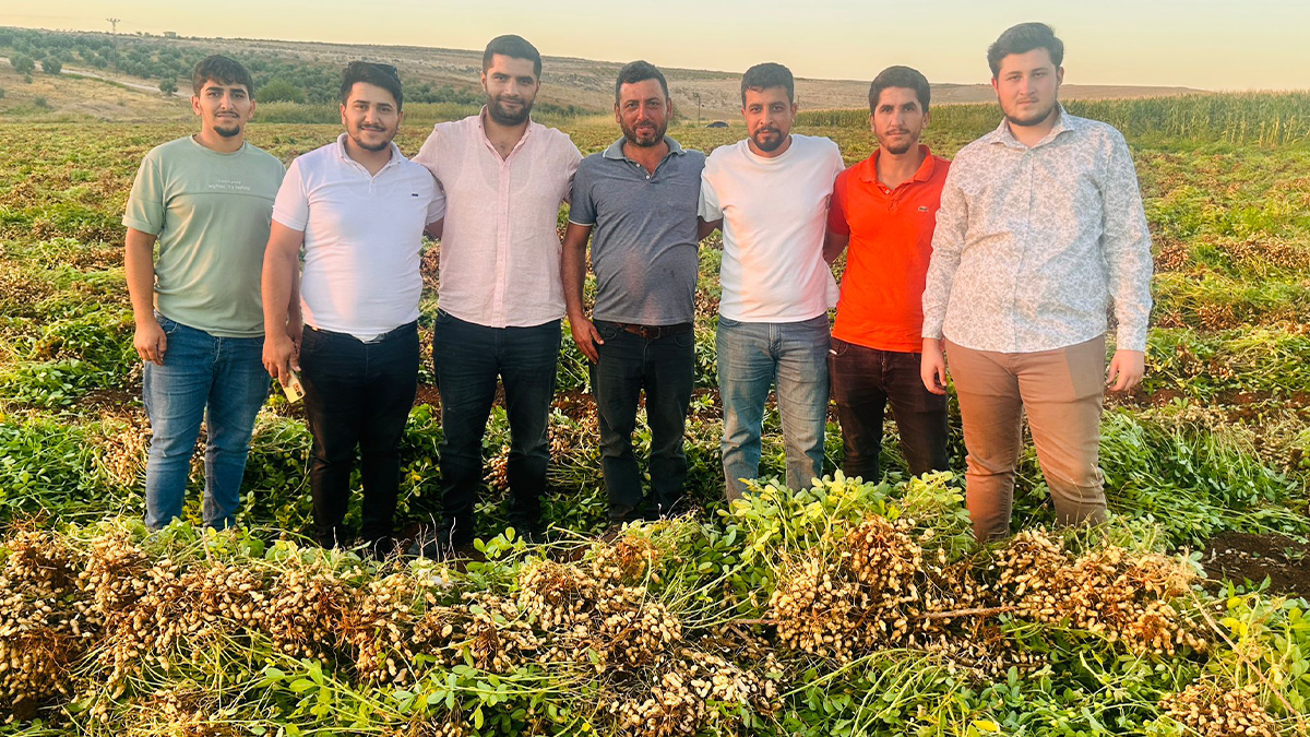 Şanlıurfa’da bu ürünü eken bir daha vazgeçemiyor! Altın gibi kazandırıyor