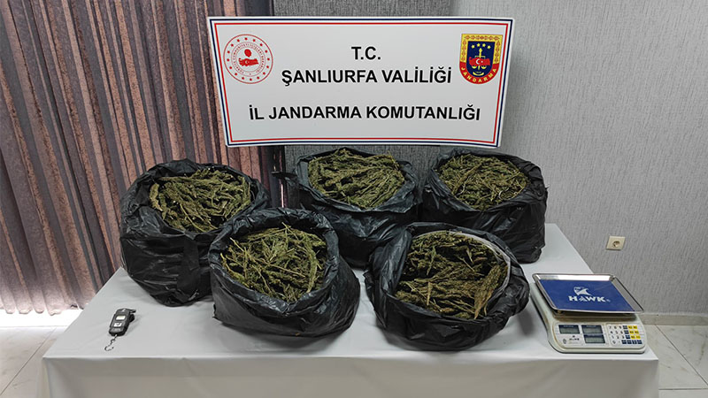 Şanlıurfa'da zehir tacirlerine göz açtırılmıyor!
