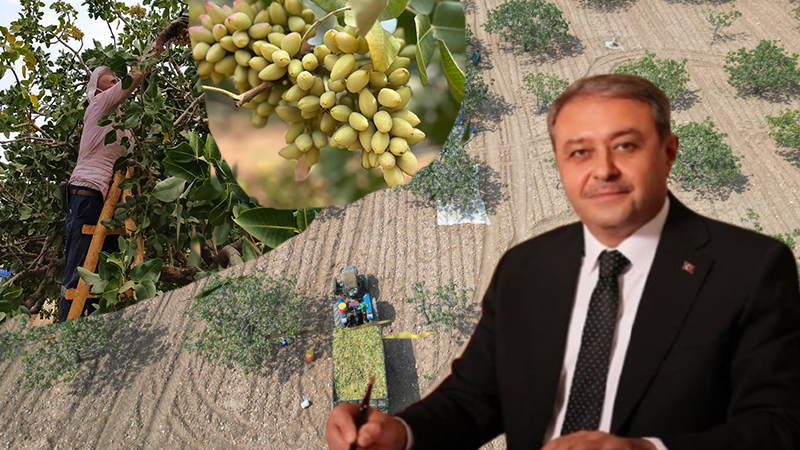 Ülkenin yarısını karşılıyor! Vali Şıldak’tan üreticilere ‘hasat’ mesajı