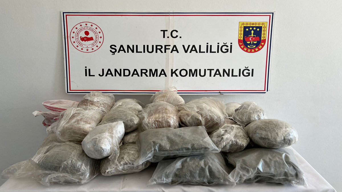 Şanlıurfa’da jandarma düğmeye bastı! Kilolarca zehir ele geçirildi