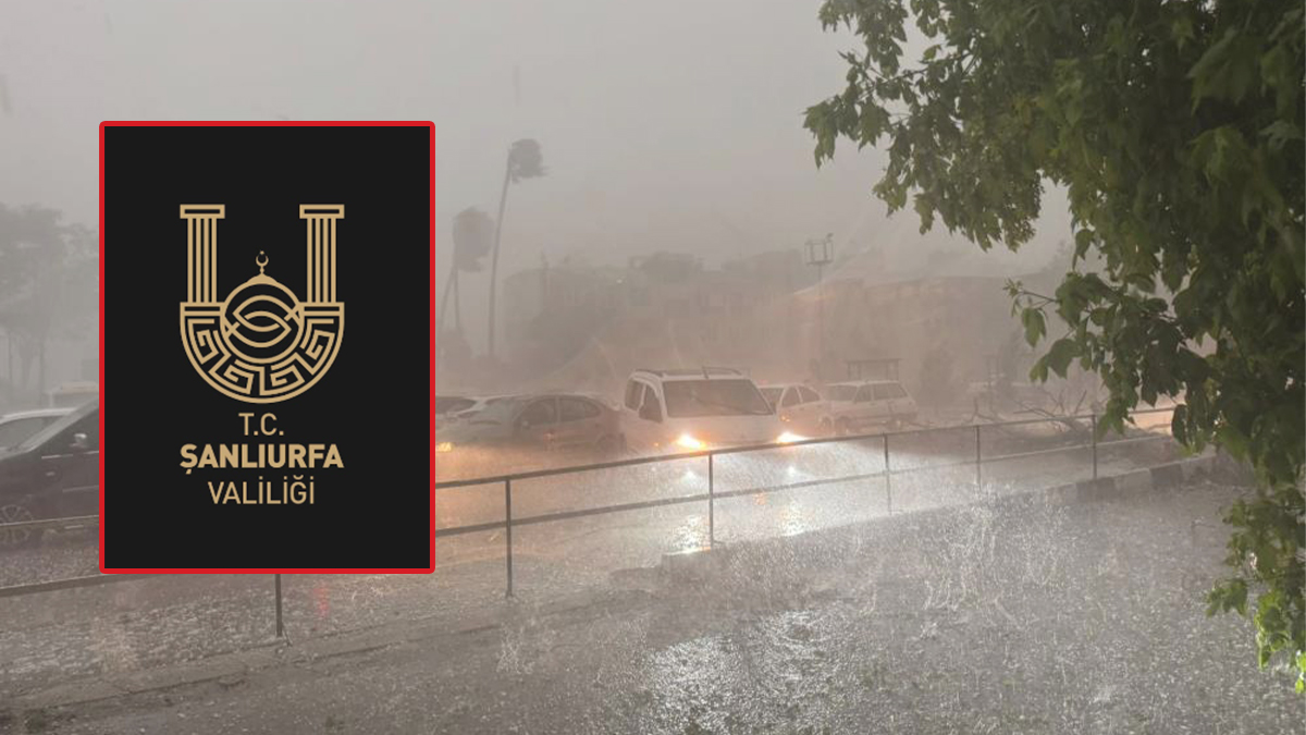 Şanlıurfa'da afetin bilançosu belli oldu! 88 okul 450 bin dekar tarım alanı...