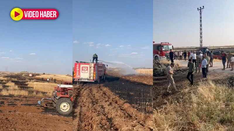 Şanlıurfa’da çiftçilerin emeği kül oldu! 170 dönüm...