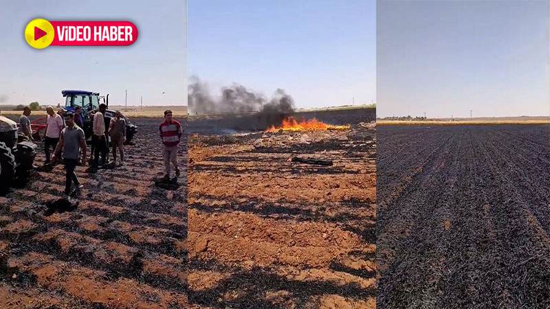 Emeğe ateş düştü: Şanlıurfa'da 150 dönüm buğday tarlası kül oldu