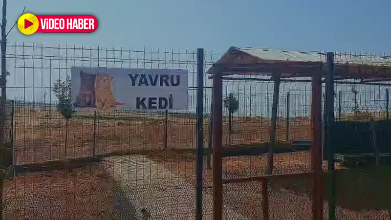 Viranşehir’de sokak hayvanlarına umut olacak tesis