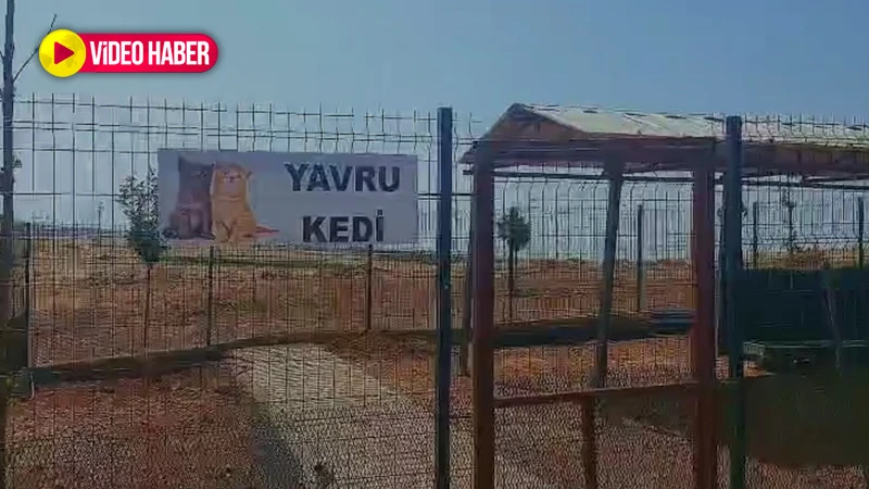 Viranşehir’de sokak hayvanlarına umut olacak tesis
