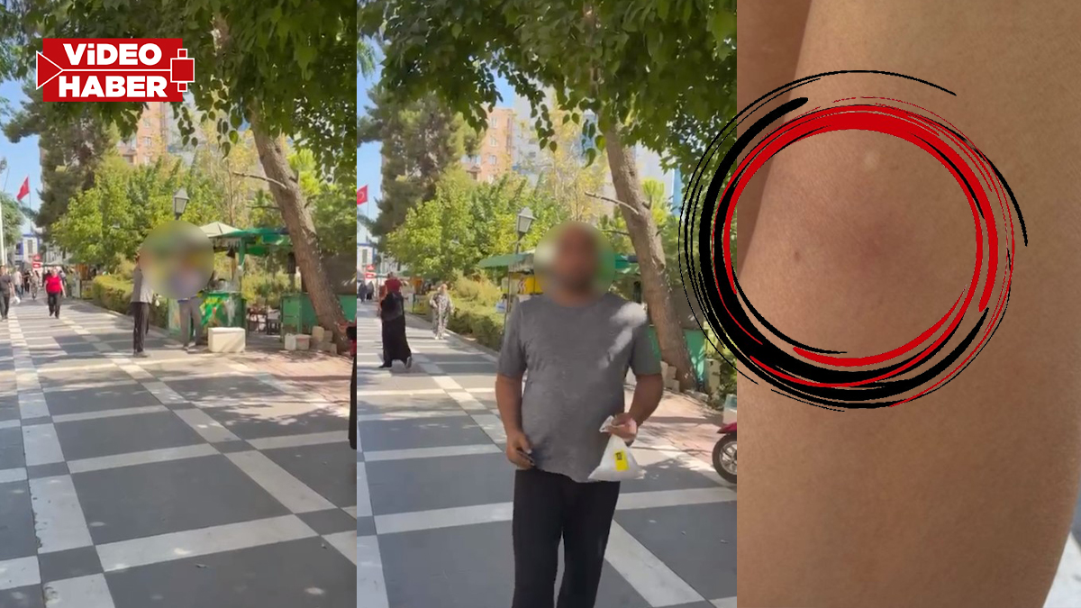 Şanlıurfa bu saldırganı konuşuyor! Sokakta kadın muhabiri, otobüste yaşlı adamı tekmeledi