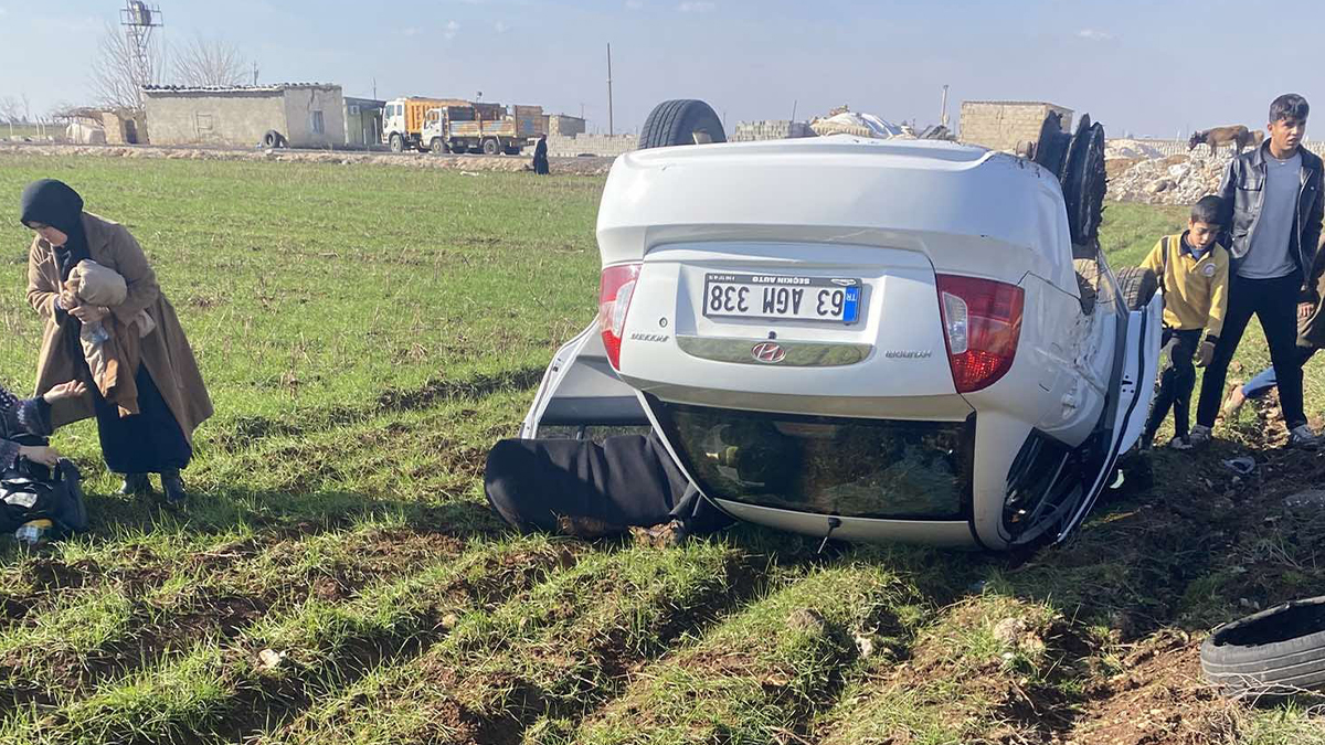 Şanlıurfa’da otomobil buğday tarlasına devrildi!