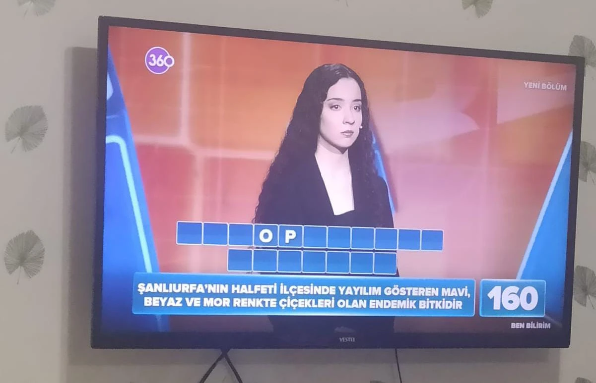 "Ben Bilirim"de Şanlıurfa sorusu... Siz bu bitkiyi biliyor musunuz?