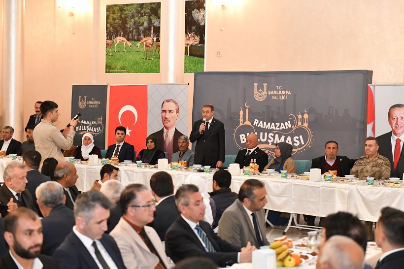 Şanlıurfa Valisi'nden Ceylanpınar çıkarması... Birlik beraberlik mesajı