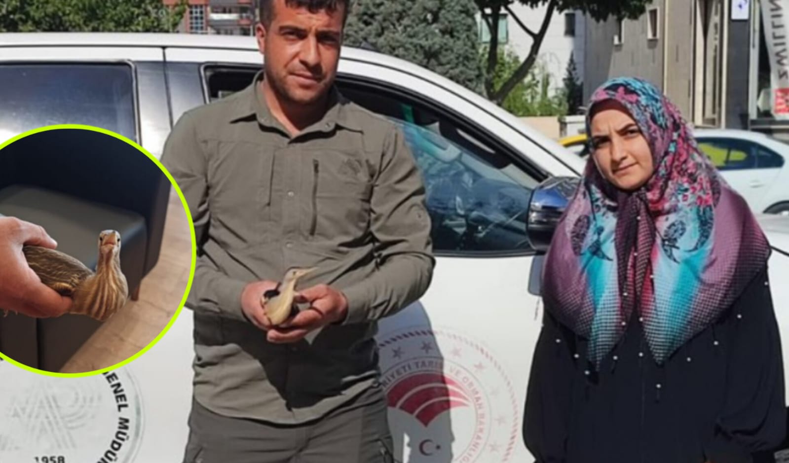 Şanlıurfa'da 'balaban' emin ellerdeydi... İşte özgürlüğüne kavuştuğu an
