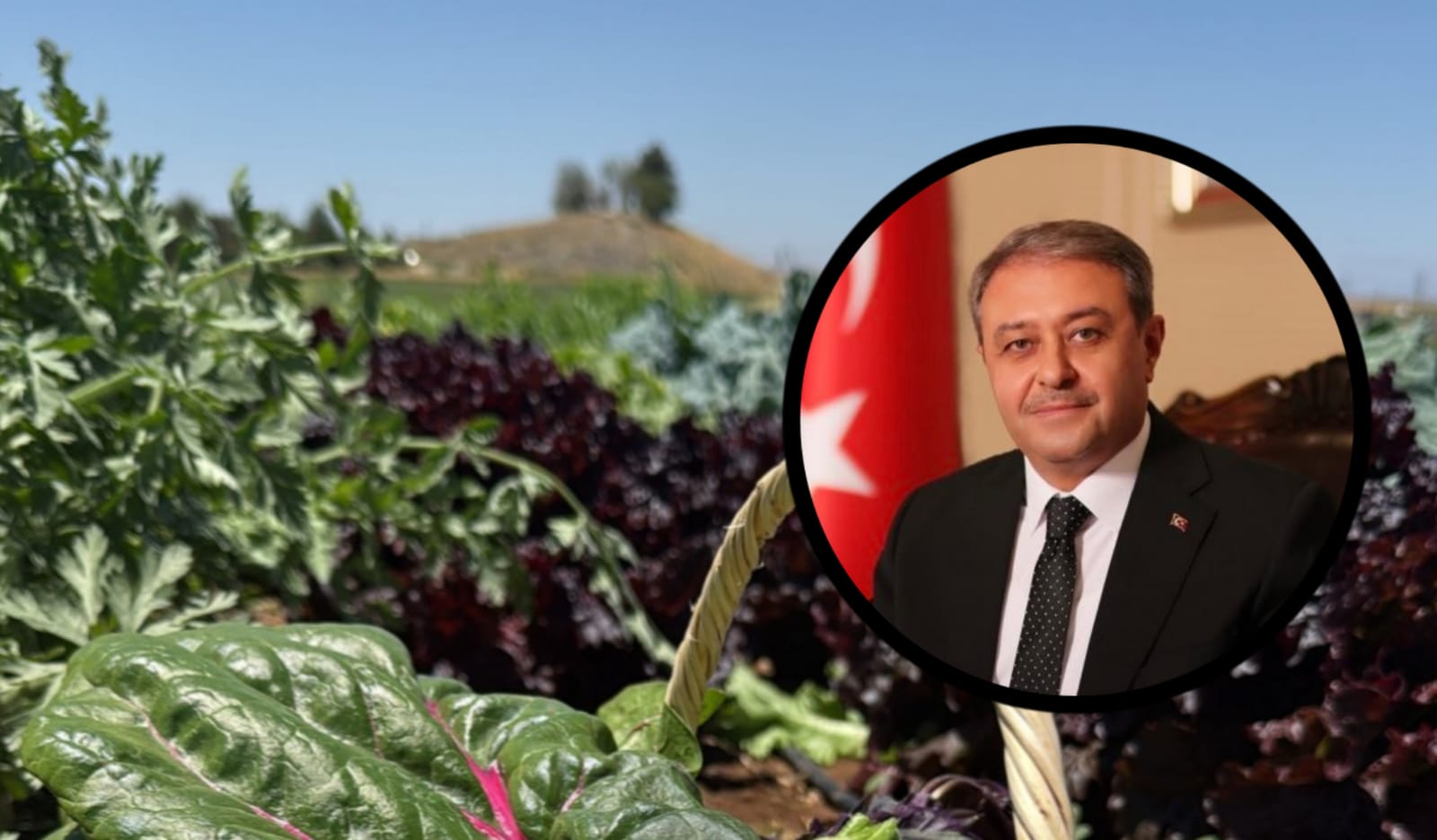 Şanlıurfalı kadın çiftçinin yardım çığlığına yanıt! Vali devreye girdi...
