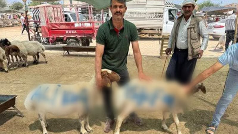 Şanlıurfa'da görenler şaştı kaldı! Ali Koç'a 'Kurbanlık' protesto