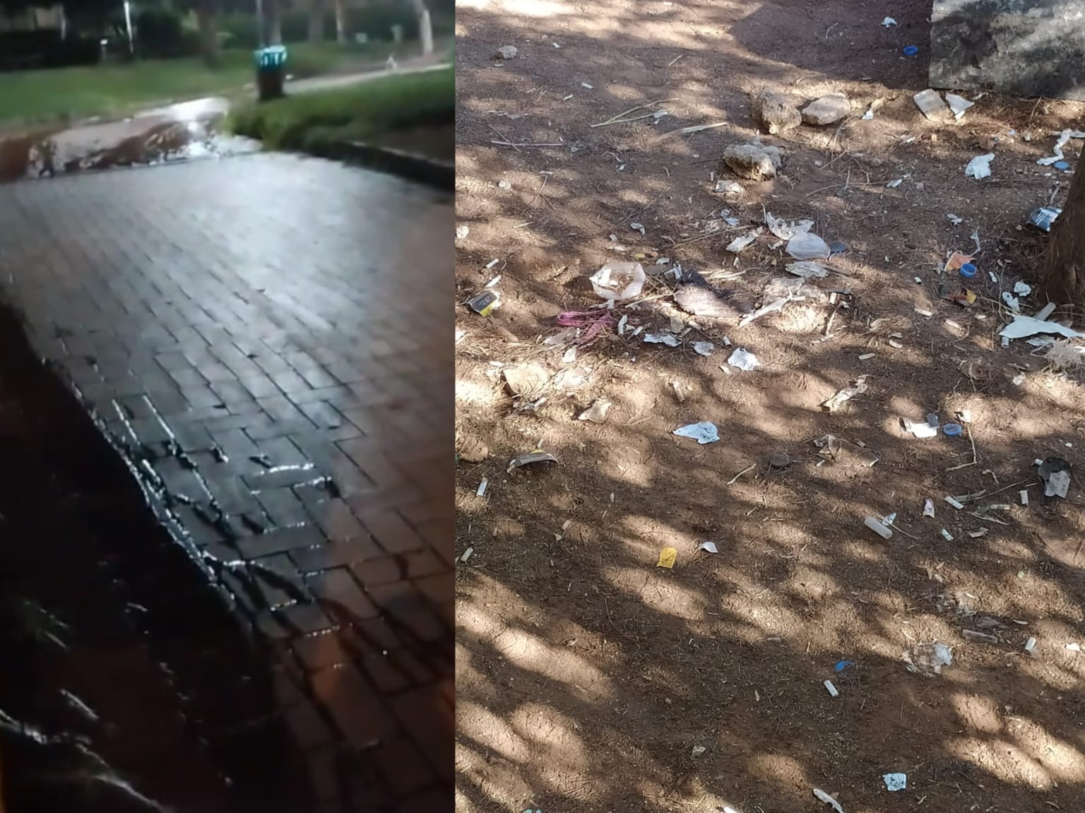 Kentin ortasında sahipsiz bırakıldı! Mahalleli Başkan Gülpınar'a seslendi...