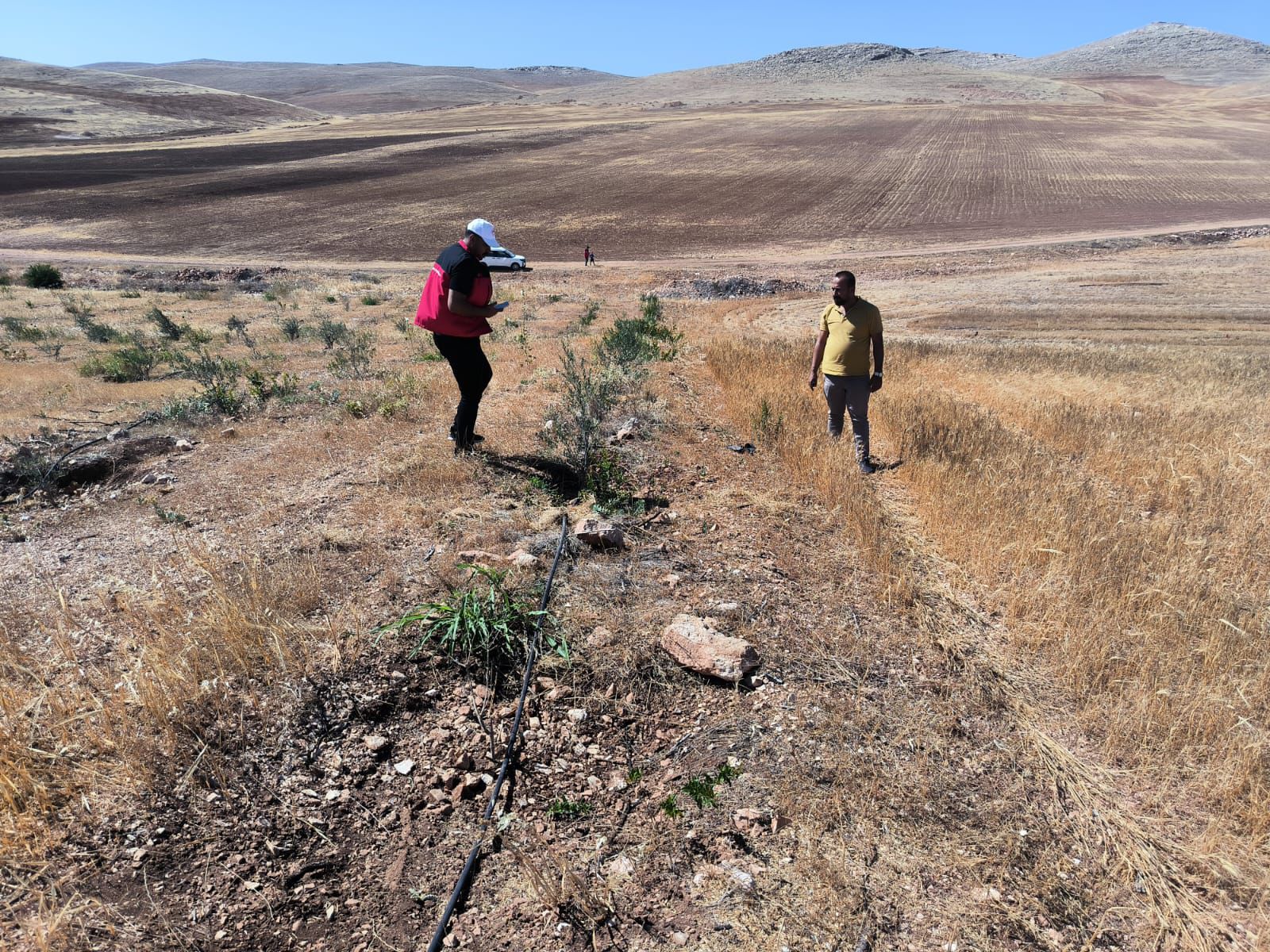 Zirai ilaçta yeni dönem: Reçetesiz satış sona eriyor