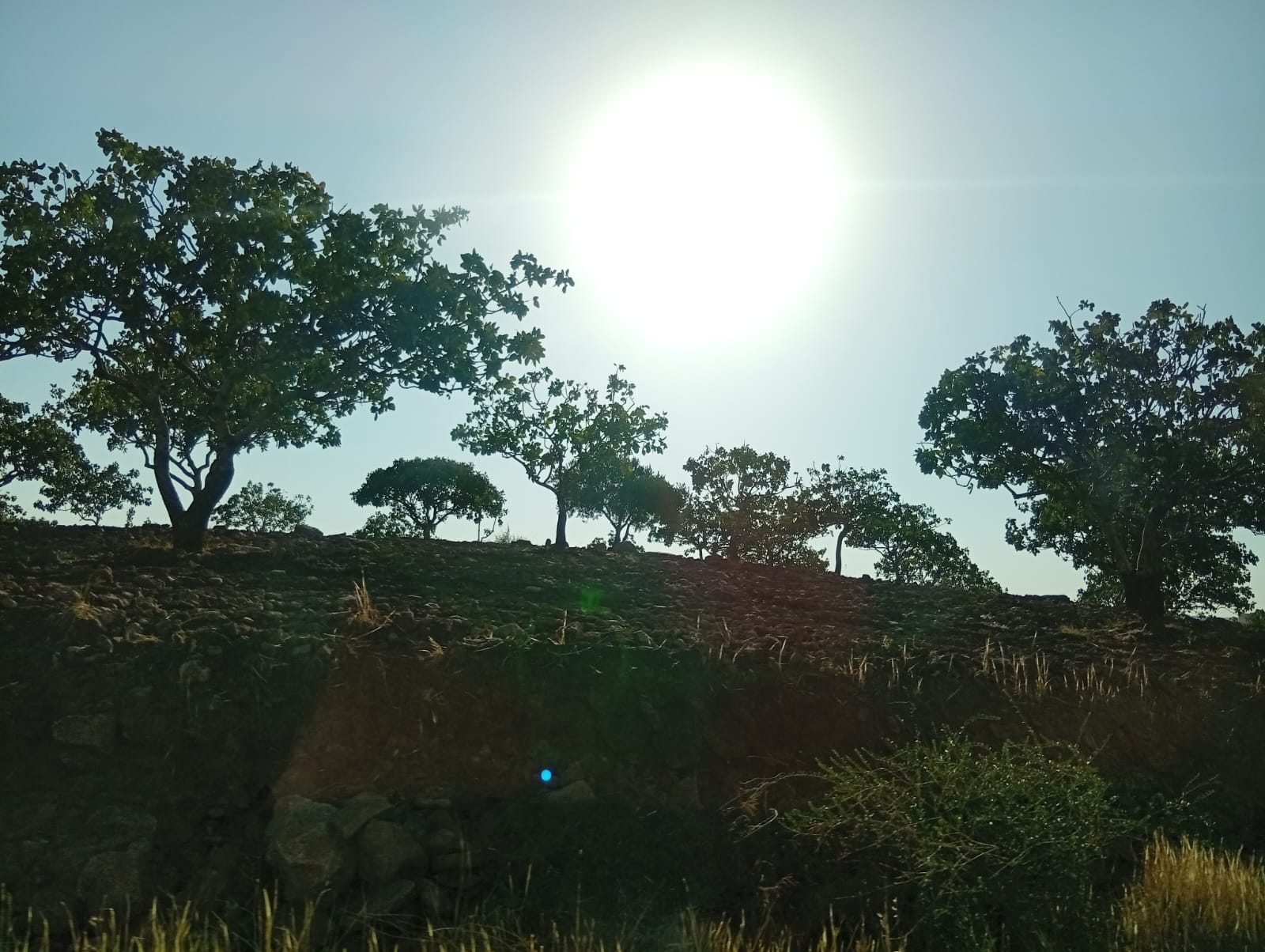 Yeni Göbeklitepe gün yüzüne çıkıyor! Kazı için tarih verildi