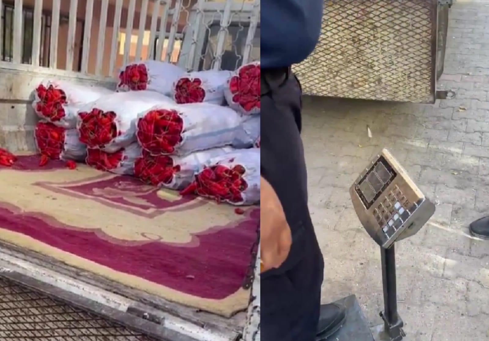 Şanlıurfa'da biber alacaklar dikkat! Zabıta hileli terazi yakaladı