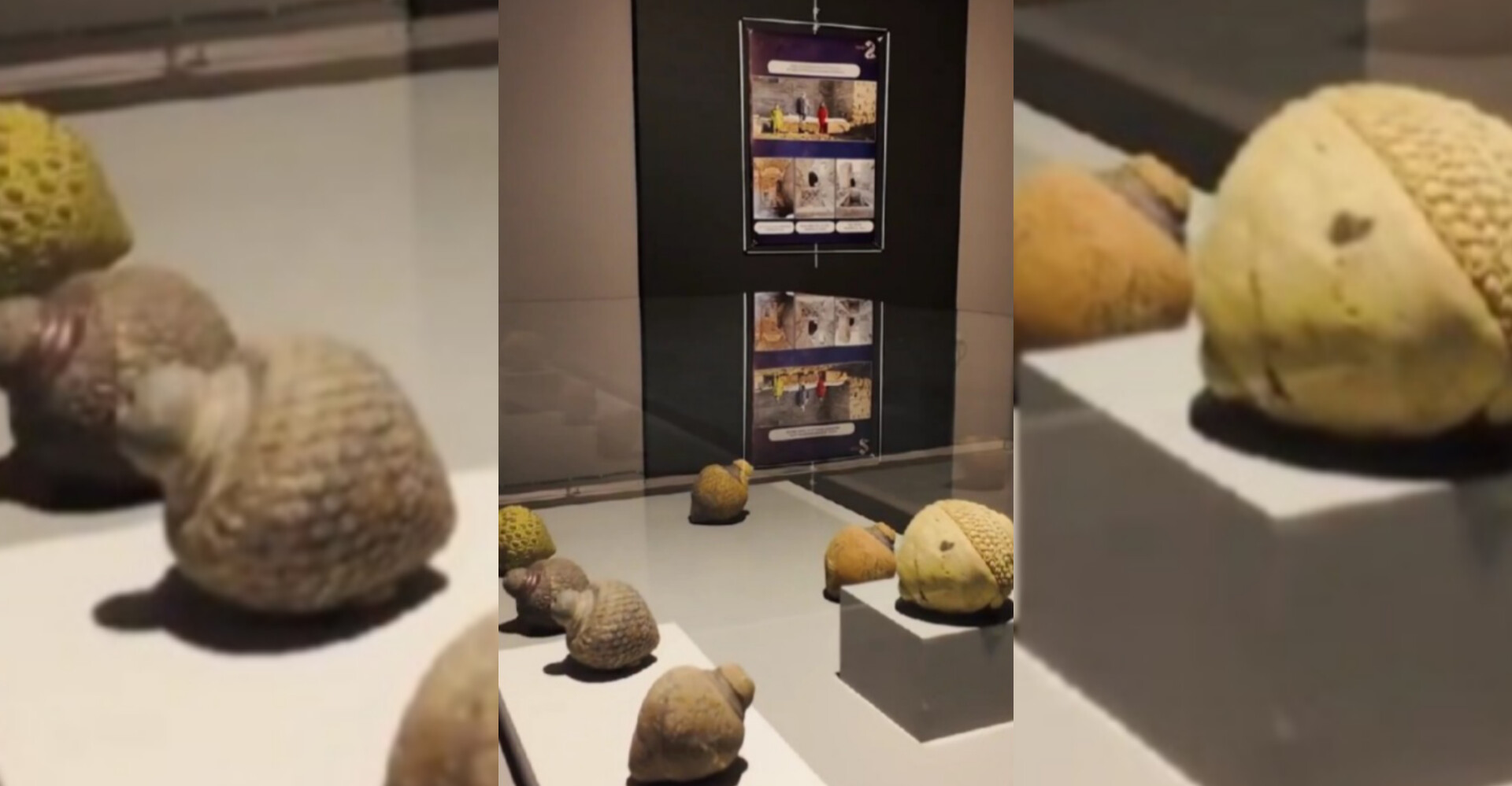 Bu sergi kaçmaz... Şanlıurfa'da 95 eser ilk kez sergileniyor!